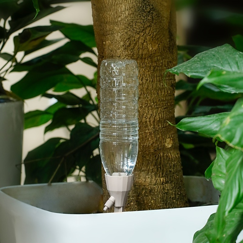 5 Stück automatisches Bewässer – Smart Zen Garden Bewertung und Preis