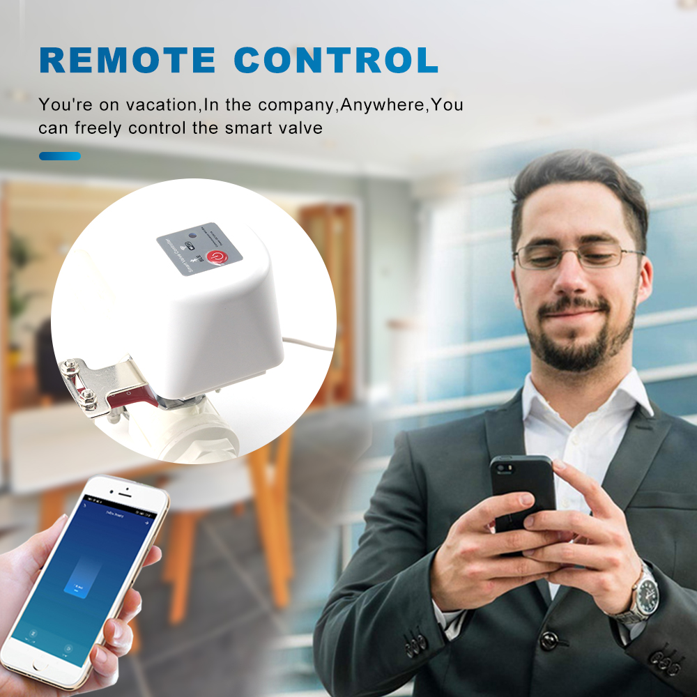 Tuya Smart Wifi Gas manipulato – Smart Garden Instructions Bewertung und Preis