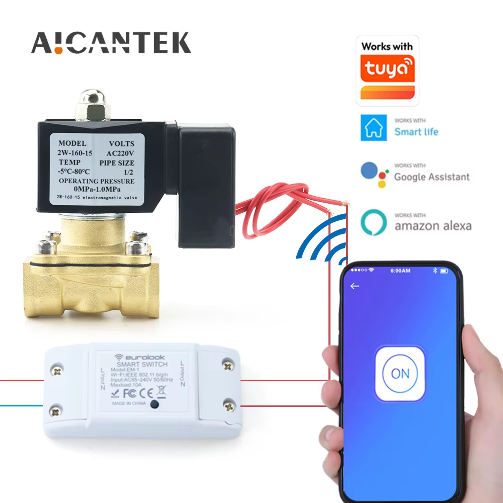 DN15 DN20 DN25 Smart WiFi Wass – Smart Garden Instructions Bewertung und Preis