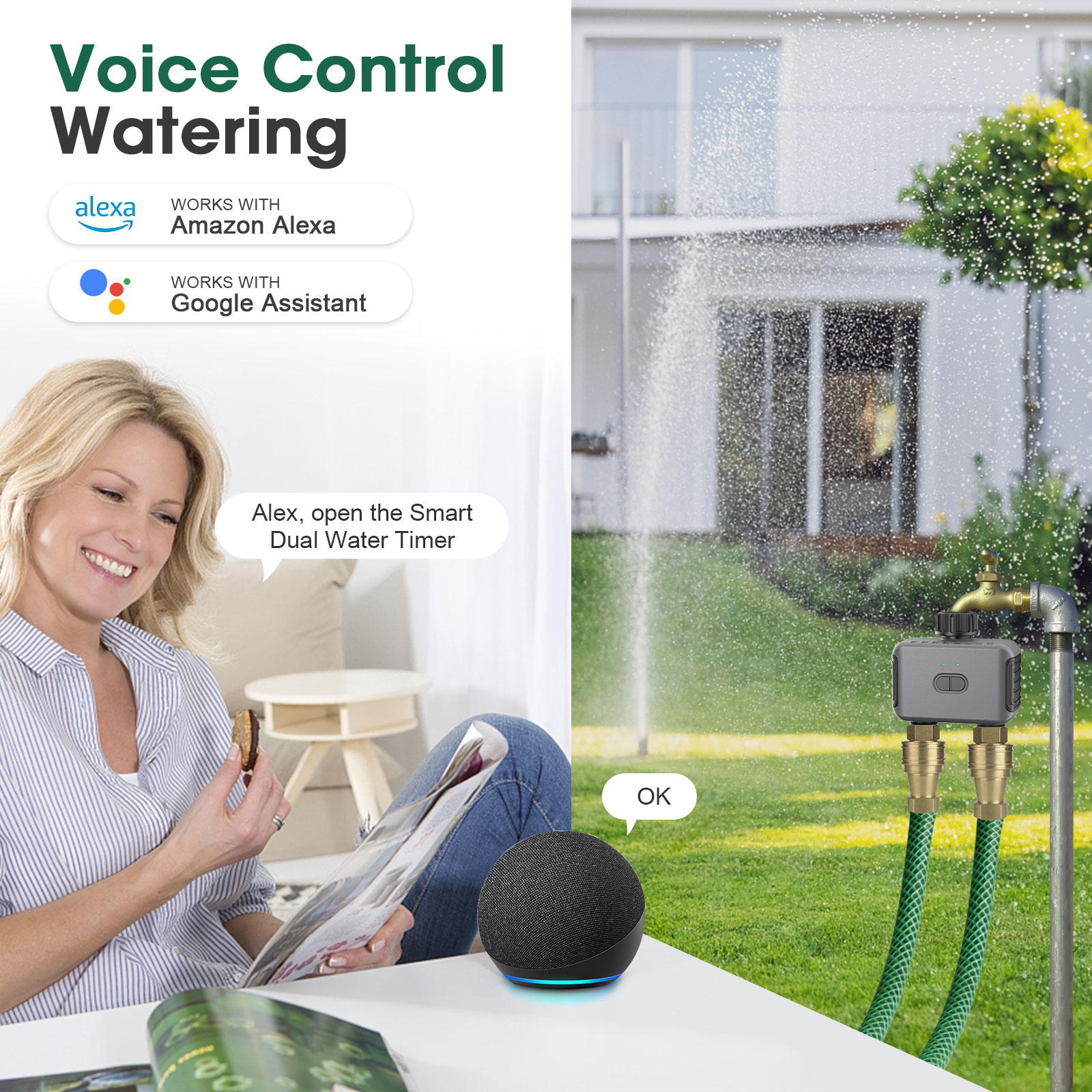 Zigbee/BT Automatischer Bewäss – Smart Zen Garden Bewertung und Preis