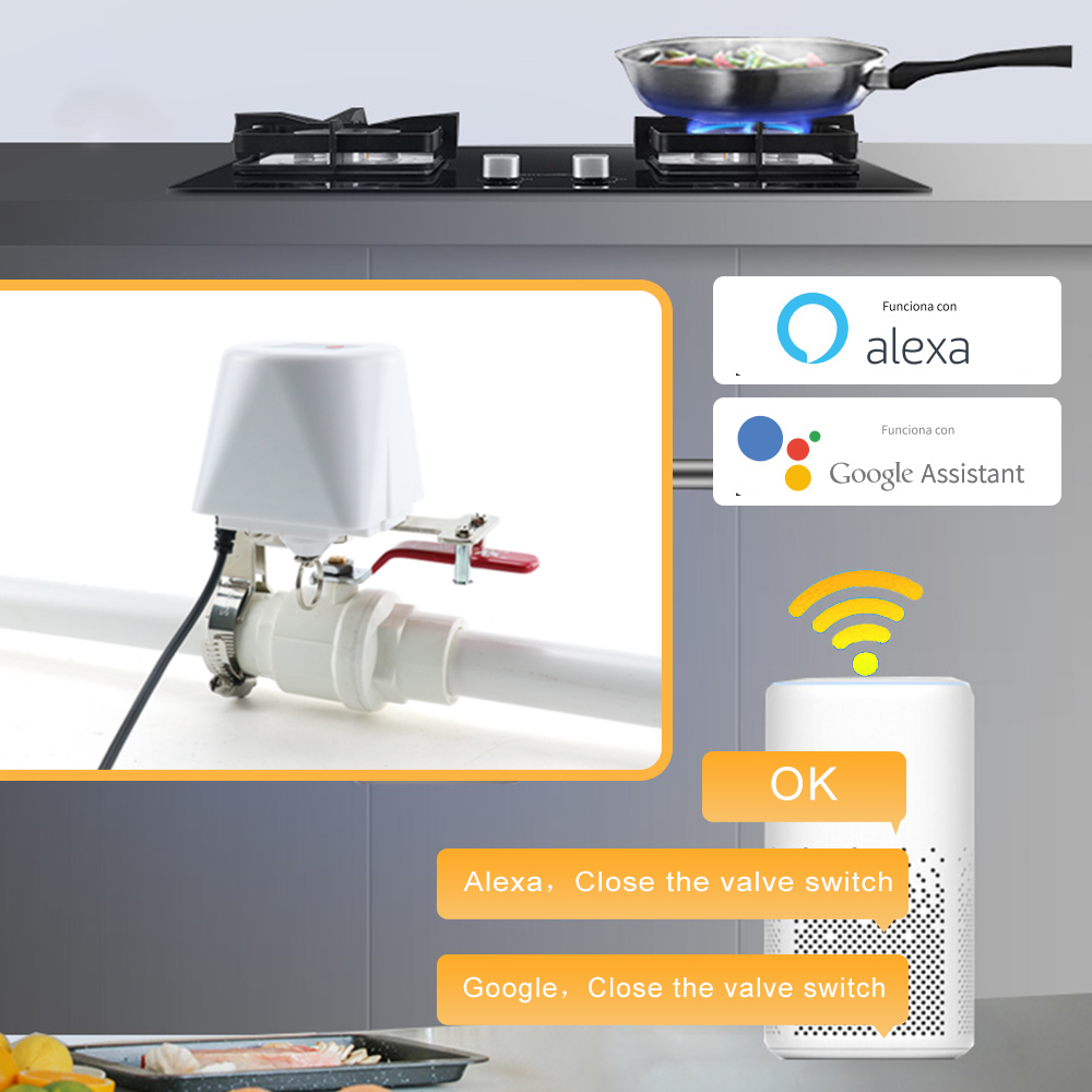 Tuya Smart WiFi Zigbee Wasserv – Smart Garden Instructions Bewertung und Preis