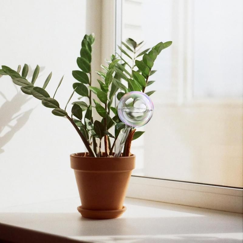 Pflanze selbst bewässernde Glo – Smart Zen Garden Bewertung und Preis