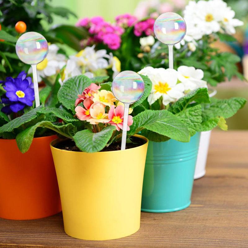 Pflanze selbst bewässernde Glo – Smart Zen Garden Bewertung und Preis