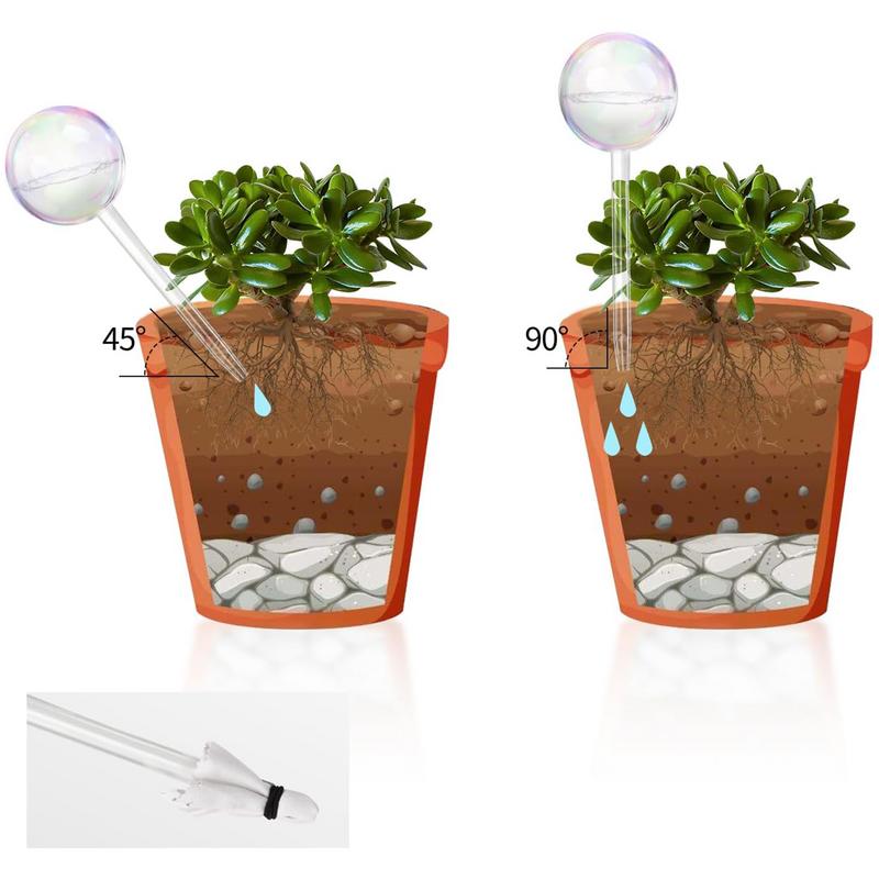 Pflanze selbst bewässernde Glo – Smart Zen Garden Bewertung und Preis